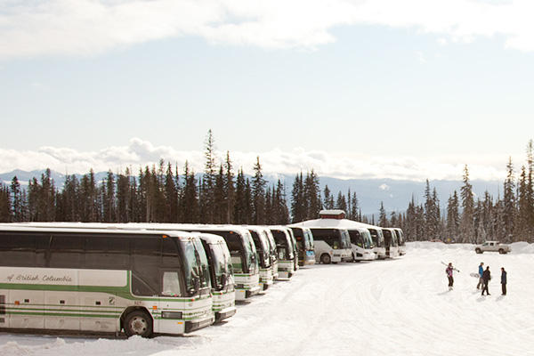 Get Your Express Bus Pass Today!
