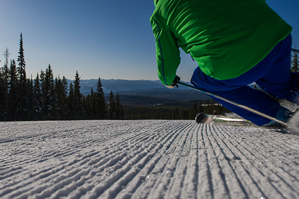Groomers