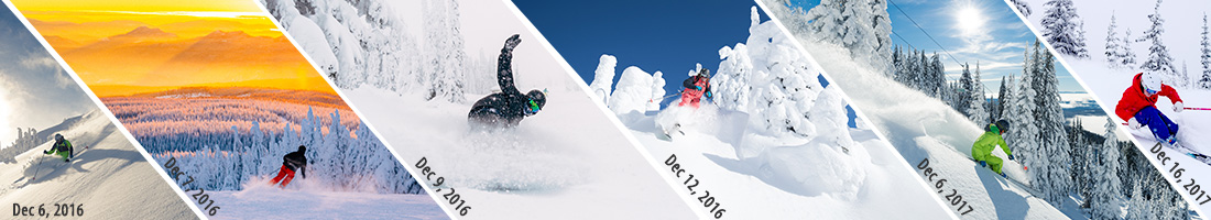 Snow Guarantee