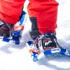 snowshoe