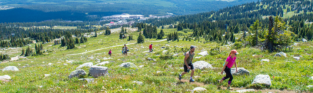 Summer trails