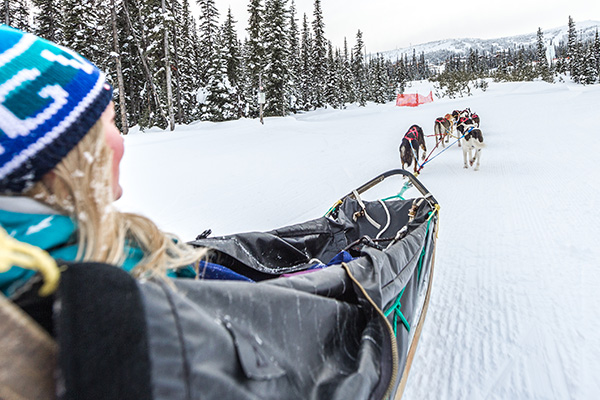 Dogsled