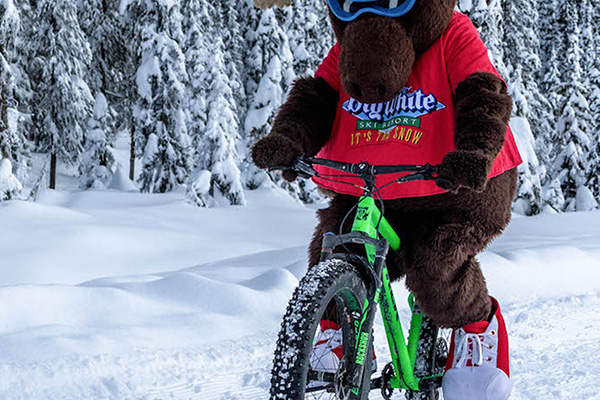 Fat Biking