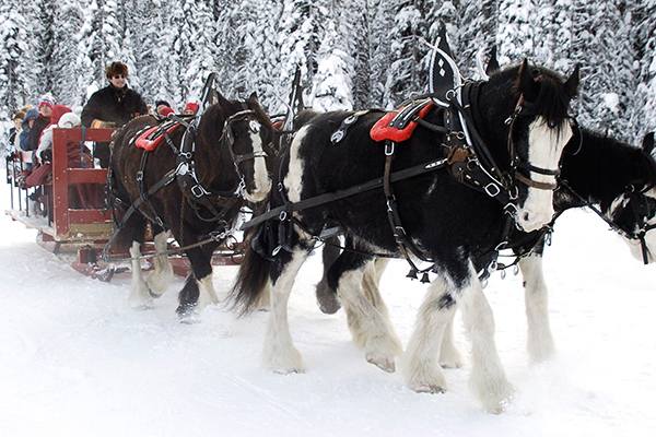 Sleighride