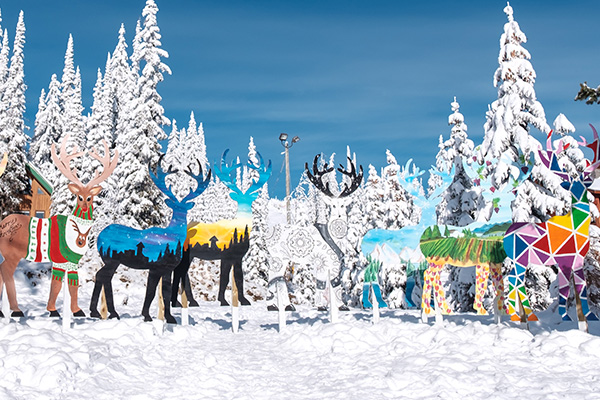 Reindeer Roundup