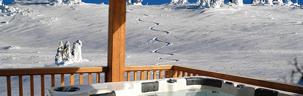 February lift & lodging
