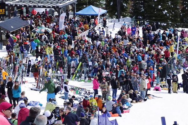 slush cup