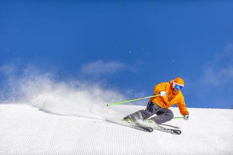 Bluebird Groomers