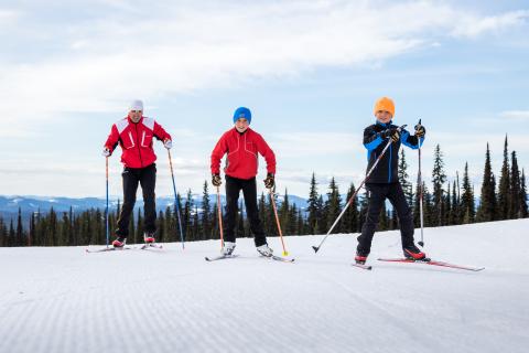 Nordic Skiing