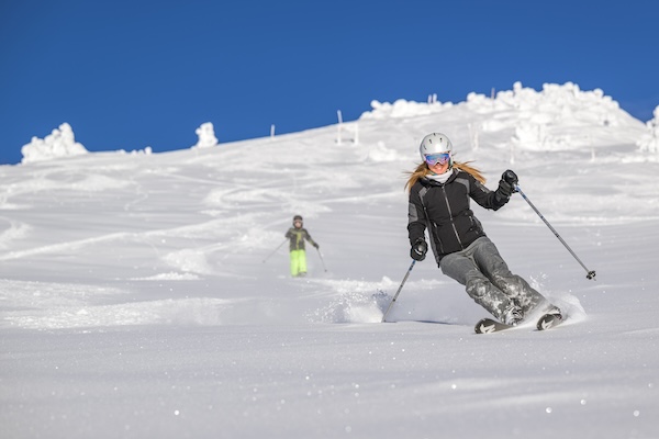 skier