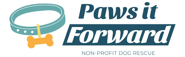 Paws it forward logo