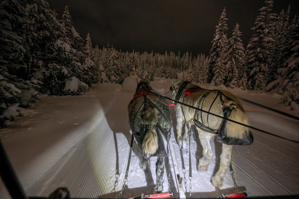Horse sleigh