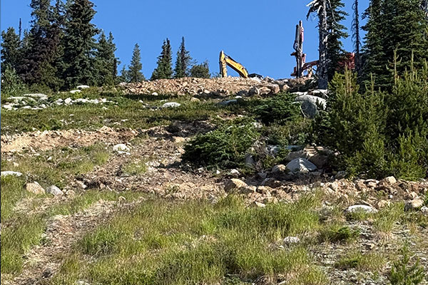 Summer Trail maintenance