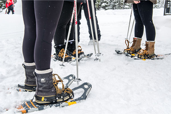 snowshoe