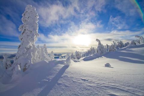 Snowghosts