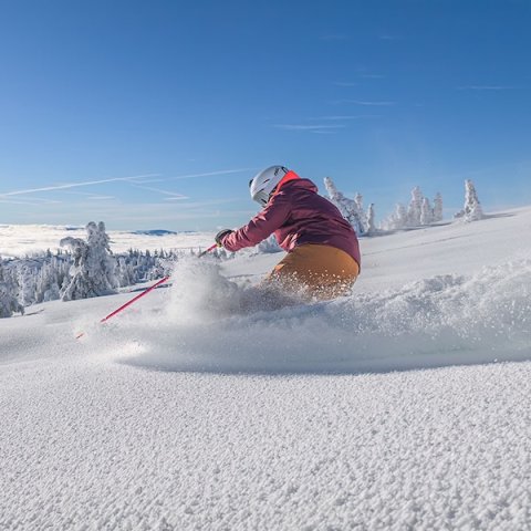 Australian Deals/New Zealand