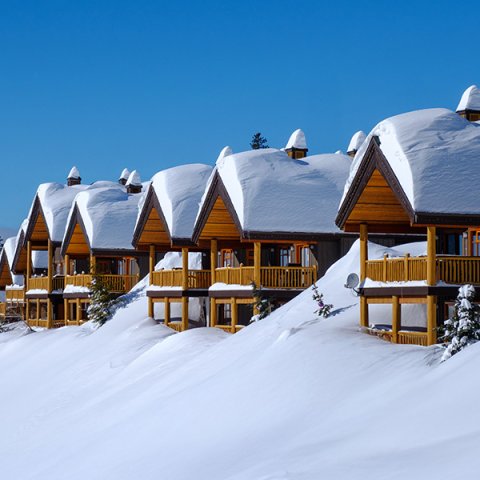 Local's Last minute deals