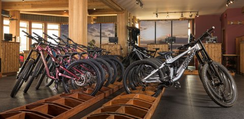Bike Rentals & Service