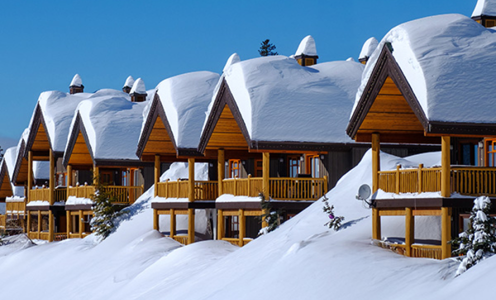 Local's Last minute deals