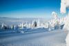 Geoff Holman Big White
