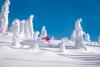 Me, my snowghosts & I